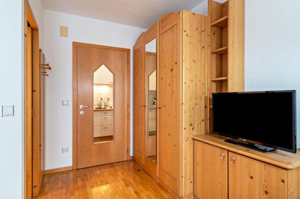 TV a/nebo společenská místnost v ubytování Appartments Reichegger