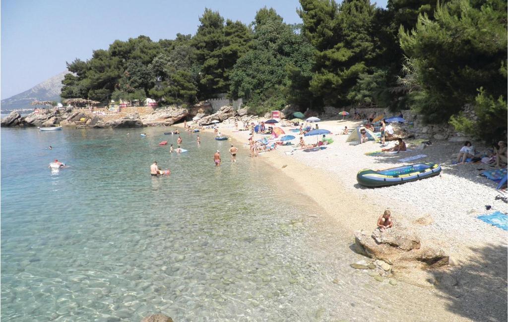 Príroda v okolí apartmánu