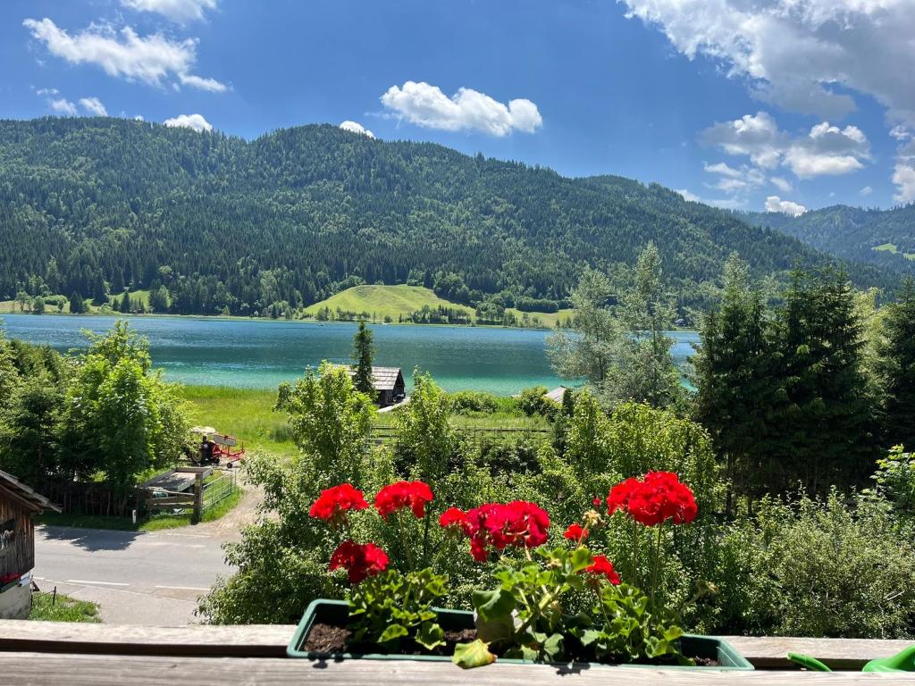 a view of a lake with red flowers and mountains at Pferdehof Rupitsch - Haus Carina in Weissensee