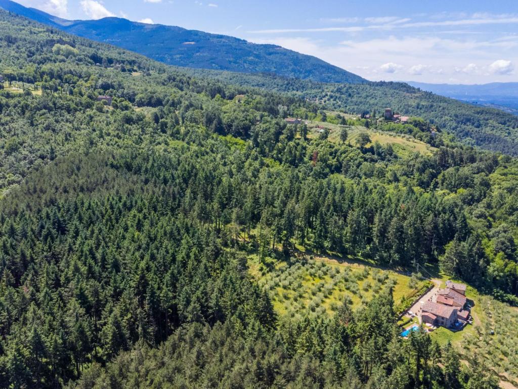 Príroda v okolí apartmánu