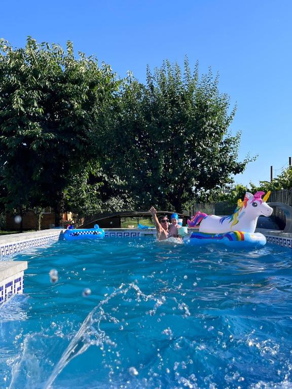 a group of people swimming in a swimming pool at Casuta din livada in Turda