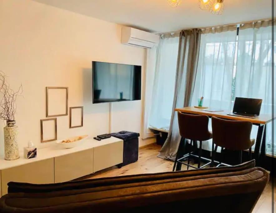 TV a/nebo společenská místnost v ubytování City flat 8