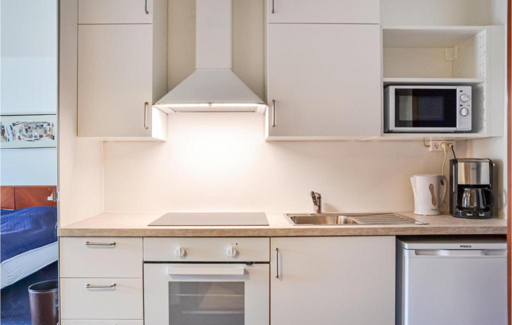 Kuchyň nebo kuchyňský kout v ubytování Studio Apartment In Helsingor