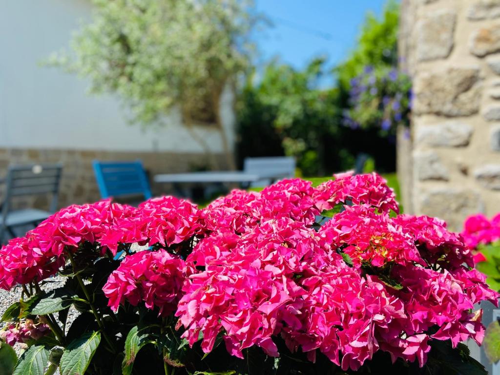 a bunch of pink flowers in front of a table at Hotel Saint-Michel in Dinard