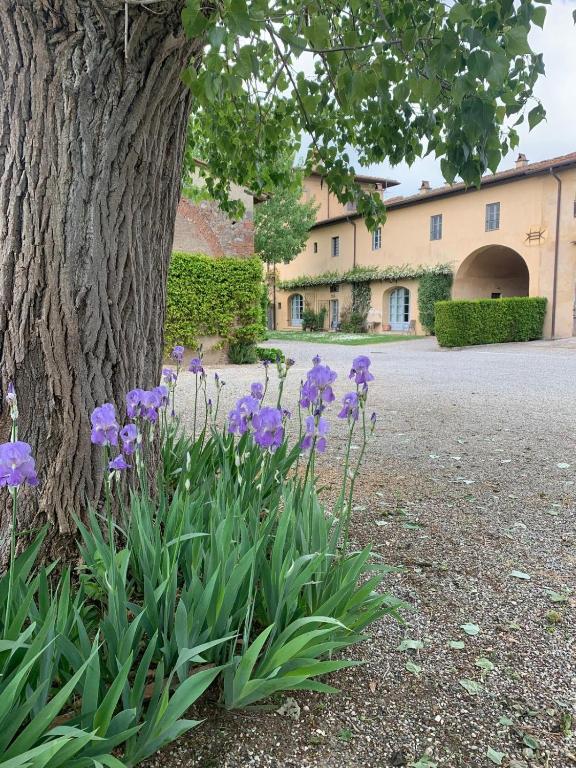 Zahrada ubytování Agriturismo La Volta