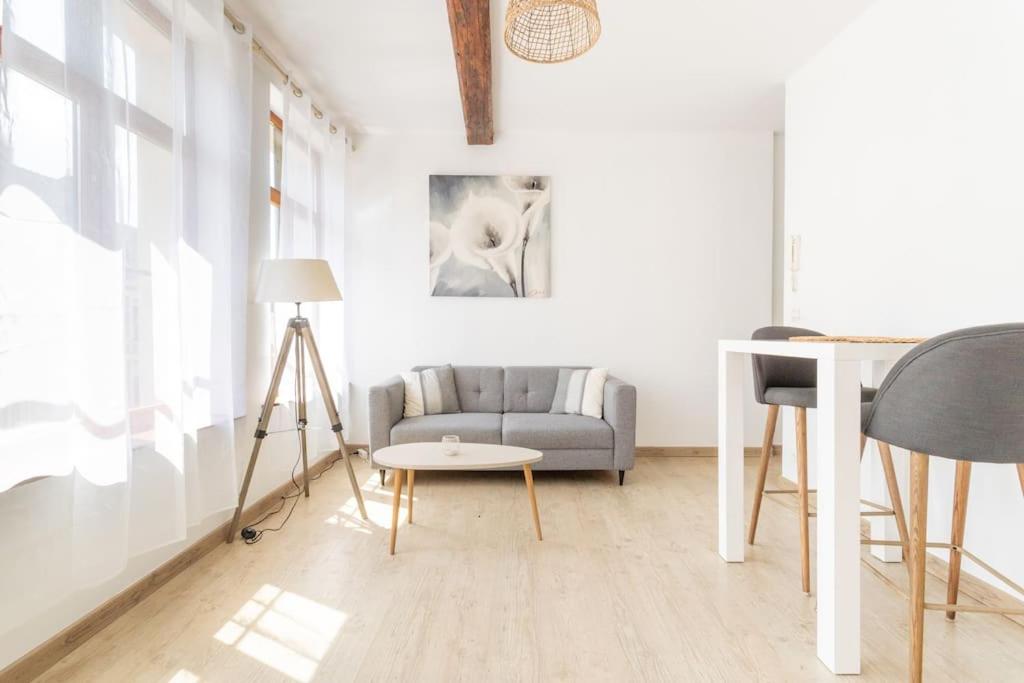un salon avec un canapé et une table dans l'établissement Appartement spacieux et fonctionnel - centre, à Douai