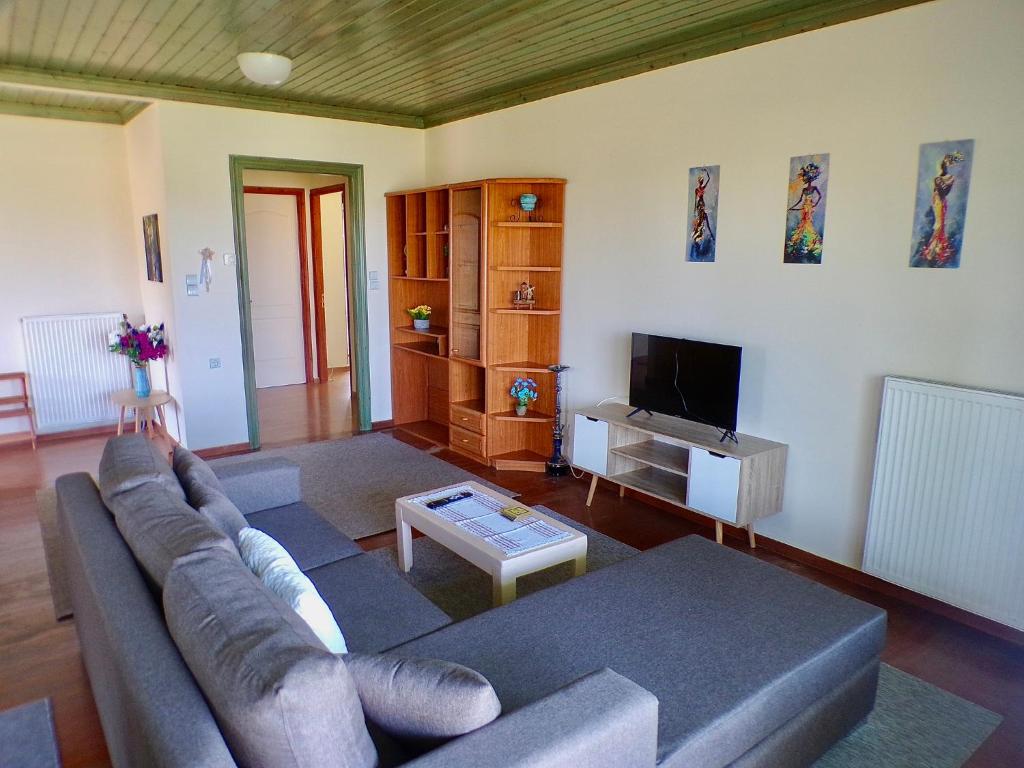 a living room with a couch and a tv at Thalia’s Mountain View in Palaiokatoúna