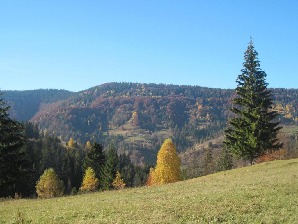 Příroda nedaleko penzionu