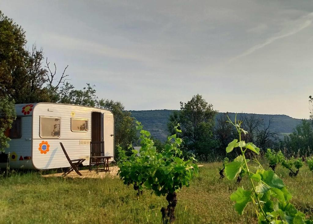 un camping-car garé dans un champ dans l'herbe dans l'établissement La Caravane d'Alon, à Magrie