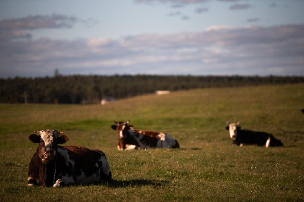 El Secreto en las Sierras