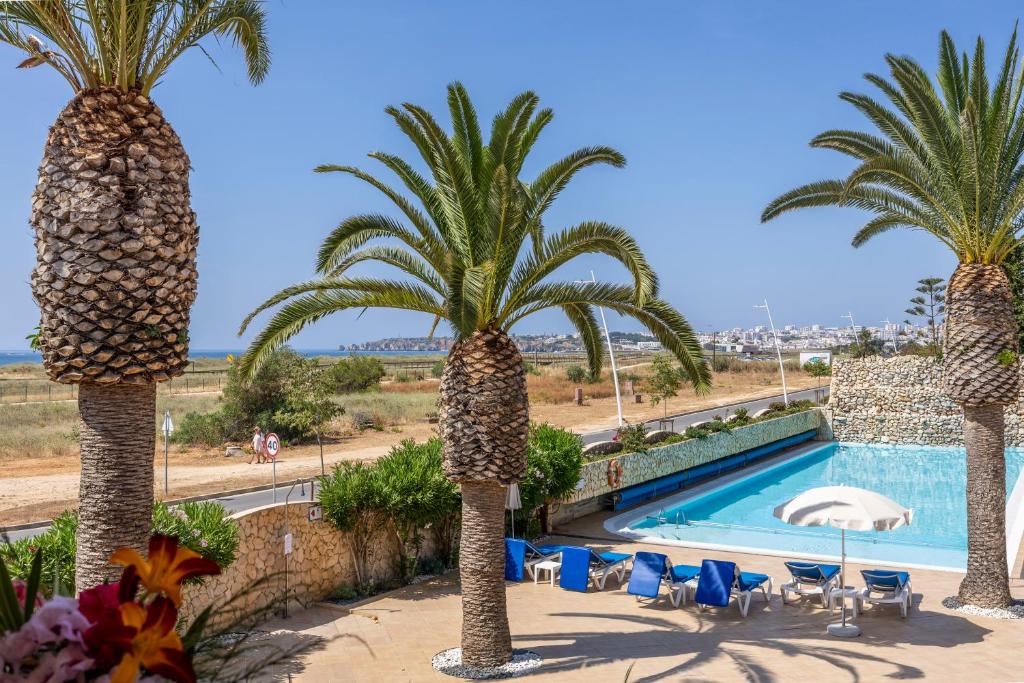 Vila Palmeira Beach Resort - 12