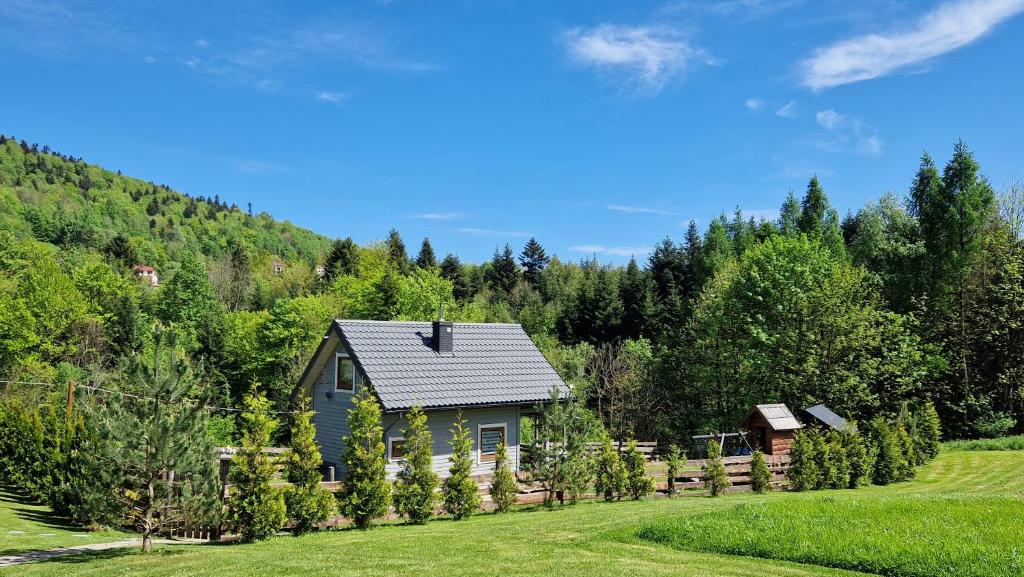 a small house in the middle of a field at Domek Dwojakówka in Ropa