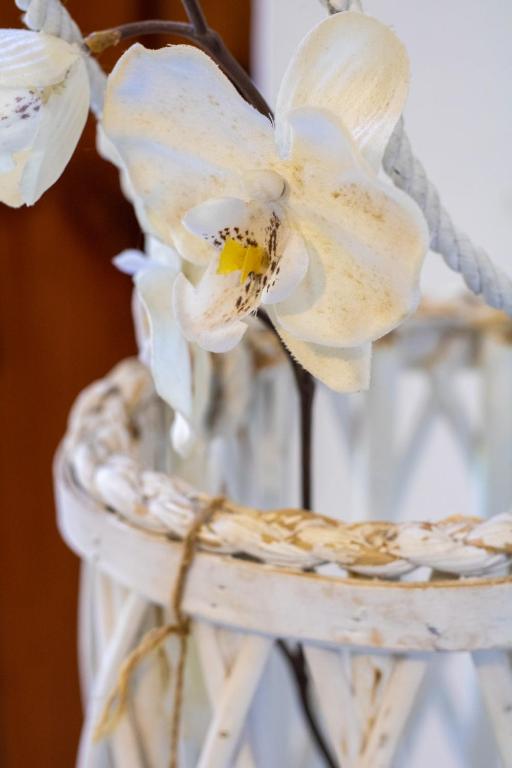 Fotografie z fotogalerie ubytování Il nido v destinaci Cecina
