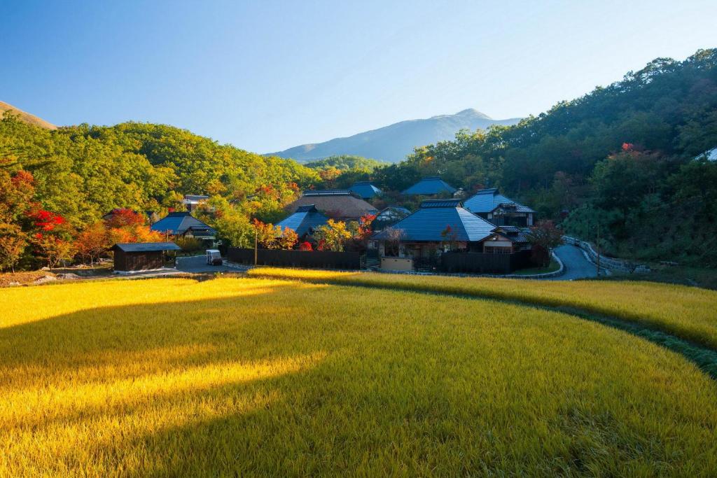 a large field of grass in front of a house at Miyama Sansou in Minamioguni