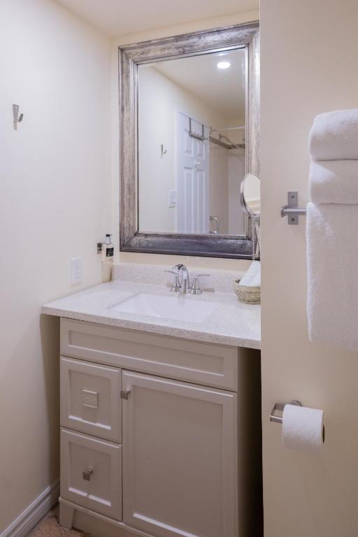 a bathroom with a sink and a mirror at ByWard Blue Inn in Ottawa