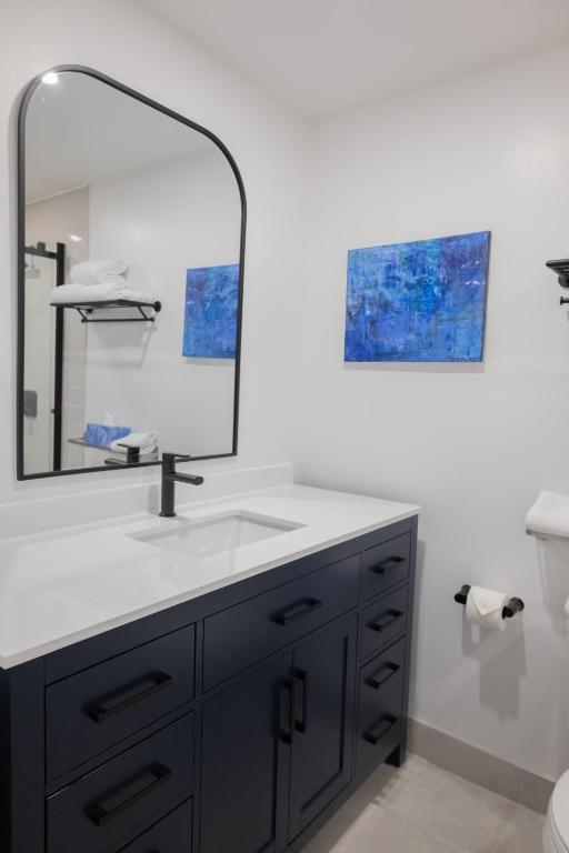 a bathroom with a sink and a mirror at ByWard Blue Inn in Ottawa
