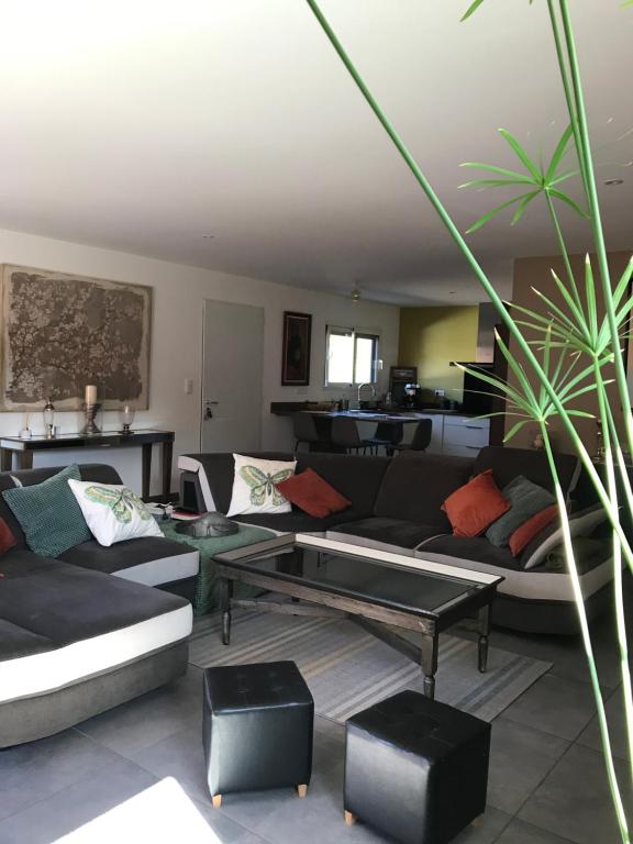 un salon avec des canapés et une plante en pot dans l'établissement Marisol, à Moliets-et-Maa