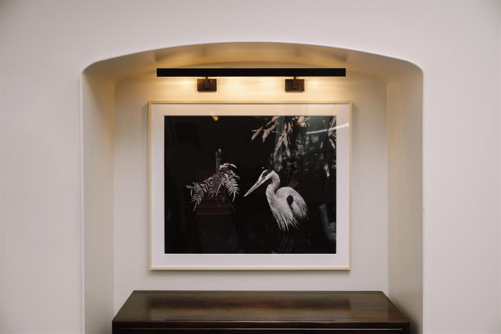Fotografie z fotogalerie ubytování Hotel Heron Old Town Alexandria v destinaci Alexandria