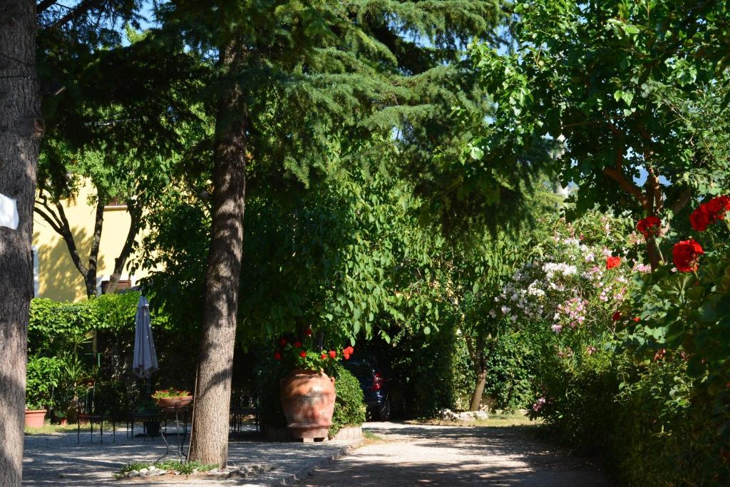 カンペッロ・スル・クリトゥンノにあるB&B Il Giovineの公園内の木々や花々が咲き誇る小道