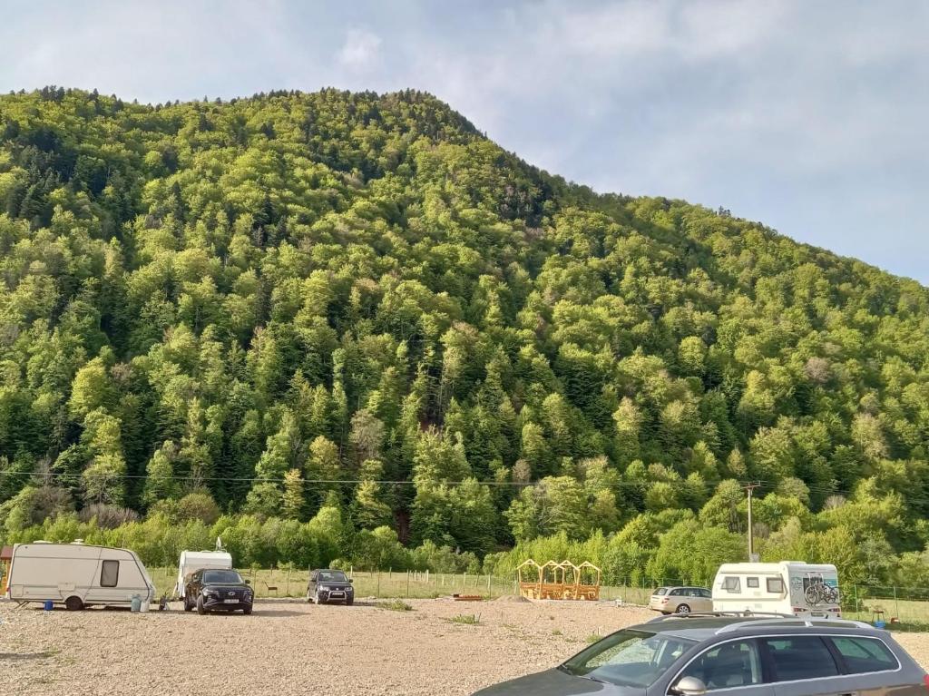 a group of cars parked in front of a mountain at Camping Pentru Rulote, Auto Rulote, Corturi Personale La Barbosu in Lepsa, Vrancea in Lepşa