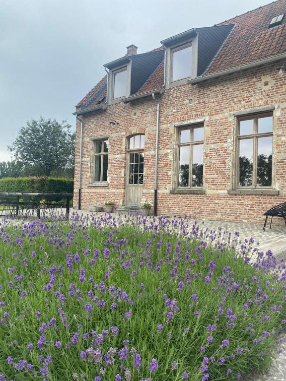 Zahrada ubytování Huis Potaerde, luxe villa, vakantiewoning - landhuis nabij Brussel