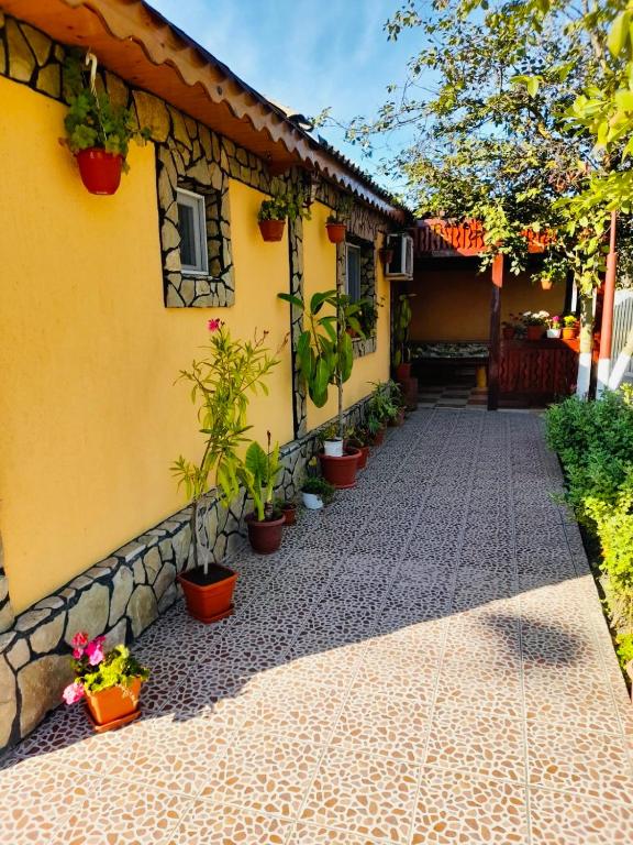 Zahrada ubytování Casa Denisa