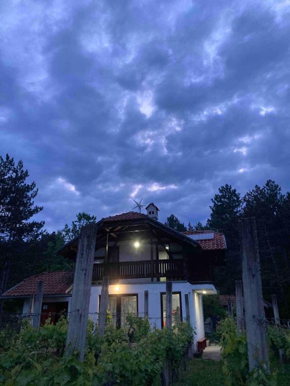 a house with a roof on top of it at Vila Borjak 