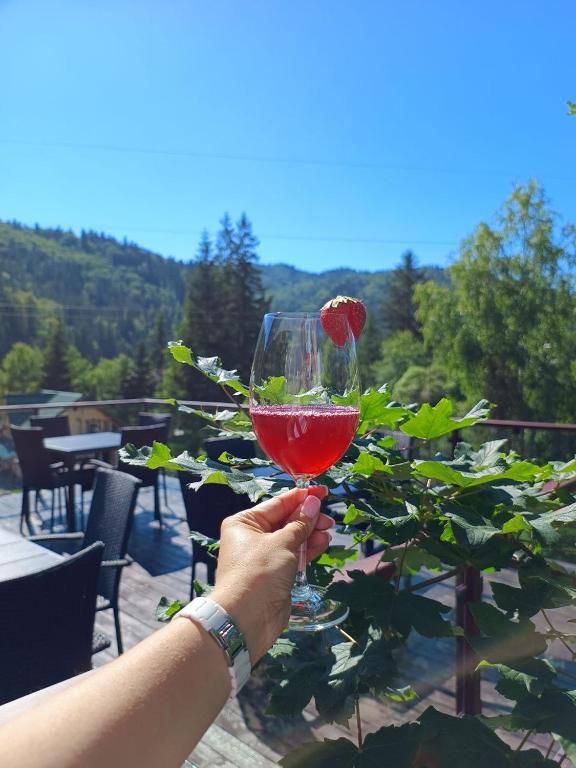 Příroda nedaleko hotelu