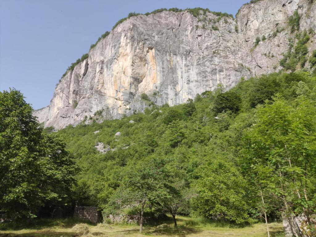 Eco resort Komarnica - 17