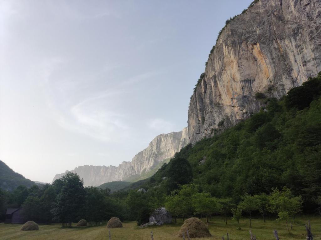 Eco resort Komarnica - 18