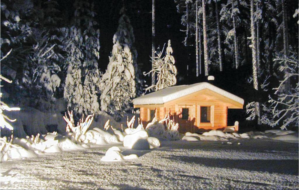 Nice Home In Kälarne With Sauna v zimě