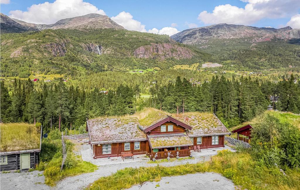 una vista aerea di una casa con tetto in erba di 4 Bedroom Stunning Home In Hemsedal a Hemsedal