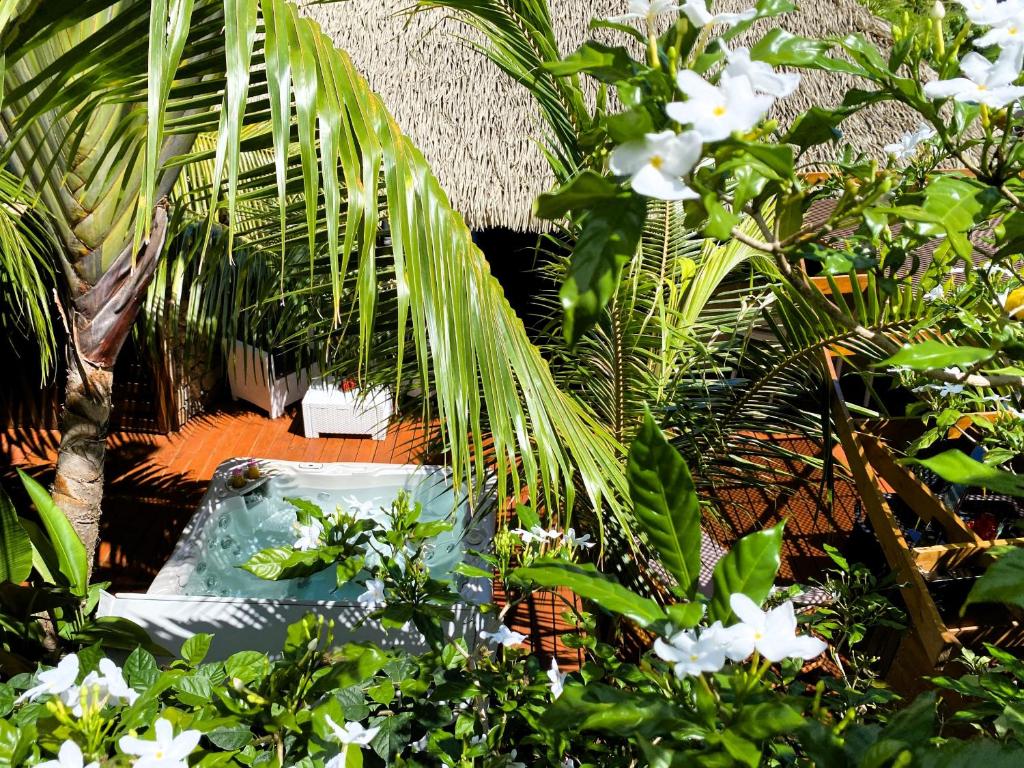 MOOREA - The SERENITY Creek spa - photo 11 - Moorea, Polynésie