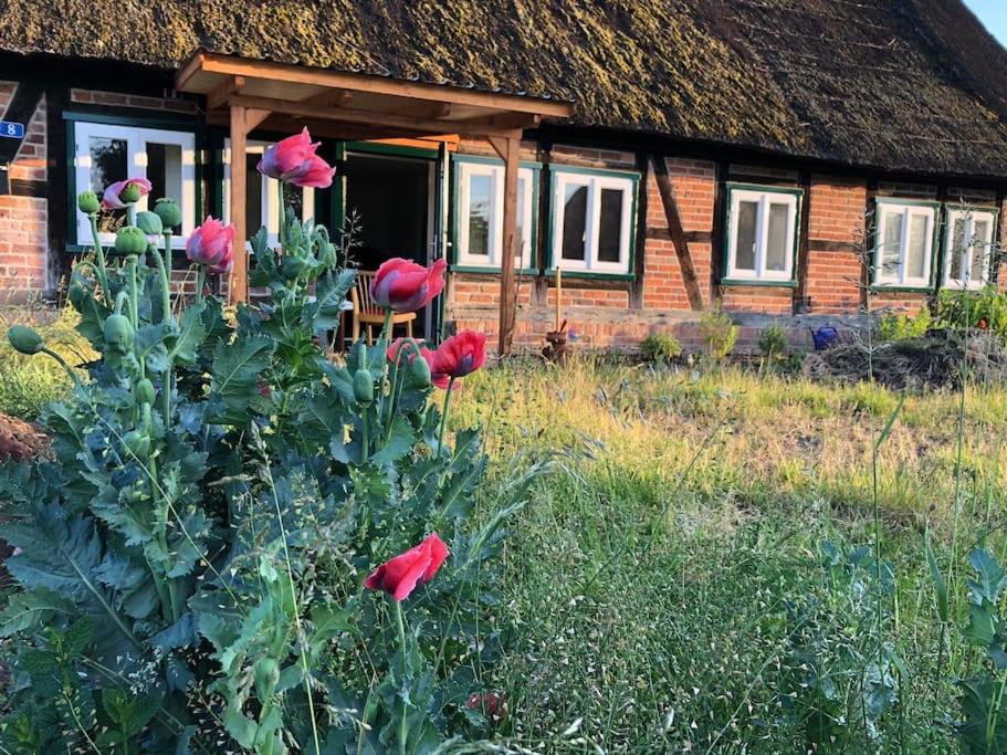 a house with red flowers in front of it at Haus am Fluss und See in Gartow