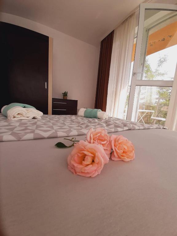 Легло или легла в стая в 1BR Апартамент Дейзи - Теди в Бяла