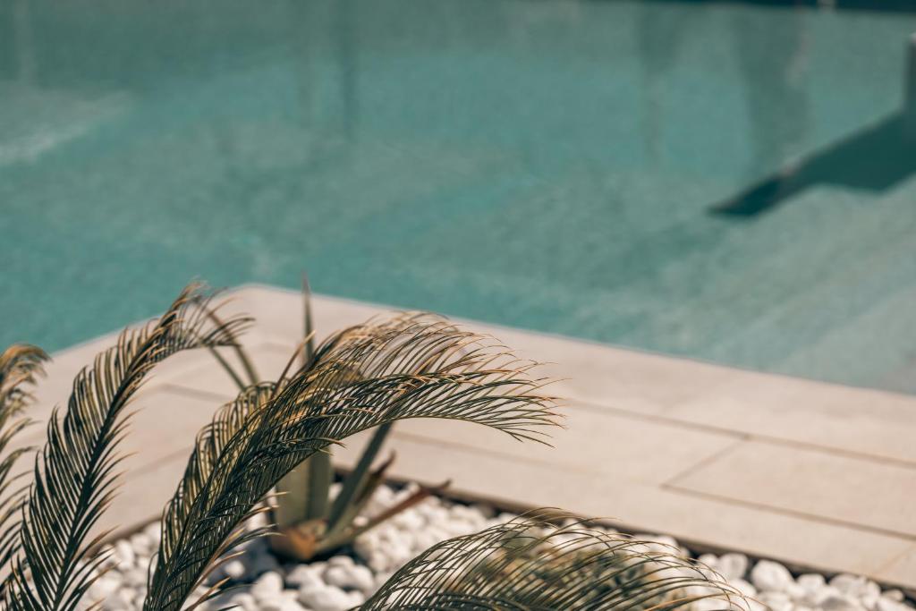 Bazén v ubytování Sivota Hotel nebo v jeho okolí