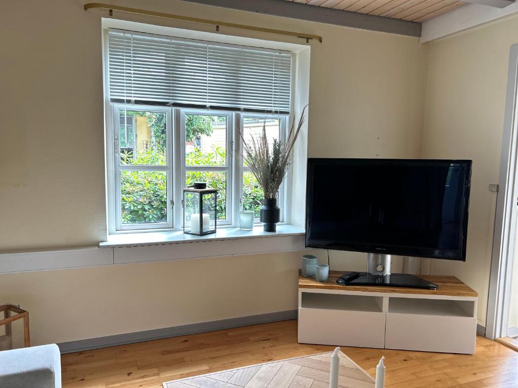 TV a/nebo společenská místnost v ubytování Strandidyl Bed and Breakfast