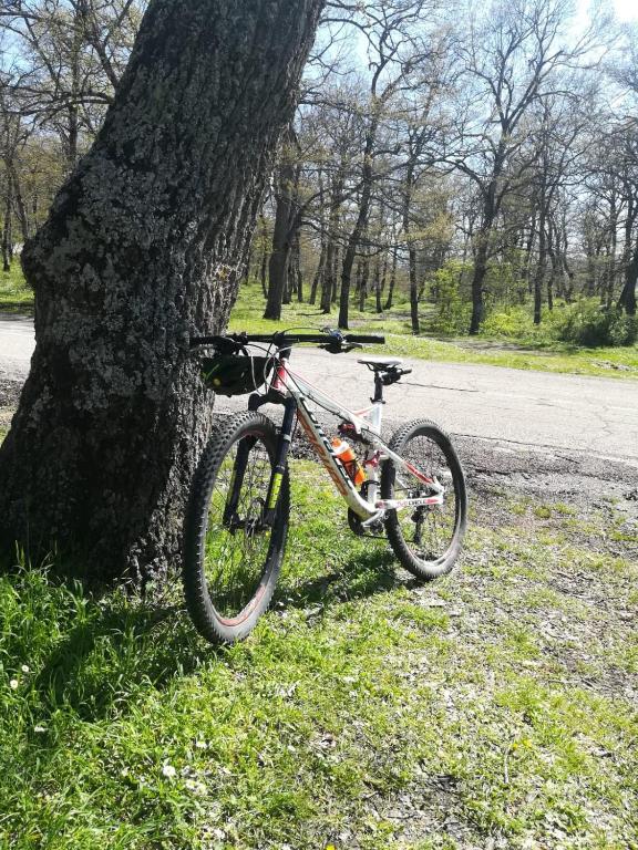Jízda na kole v ubytování Oikia nebo okolí
