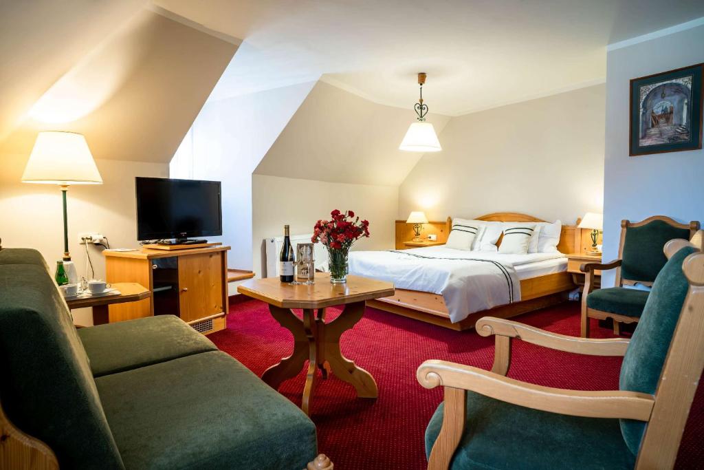 Hotel Pod Ciżemką - 15