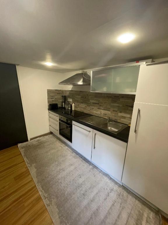 une petite cuisine avec un évier et un réfrigérateur dans l'établissement Little piece of paradise, à Noisy-le-Sec