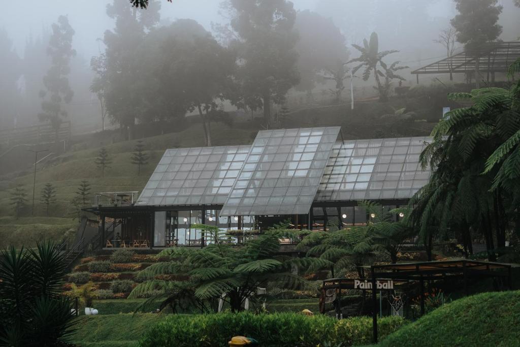 Damar Langit Resort外面的花园