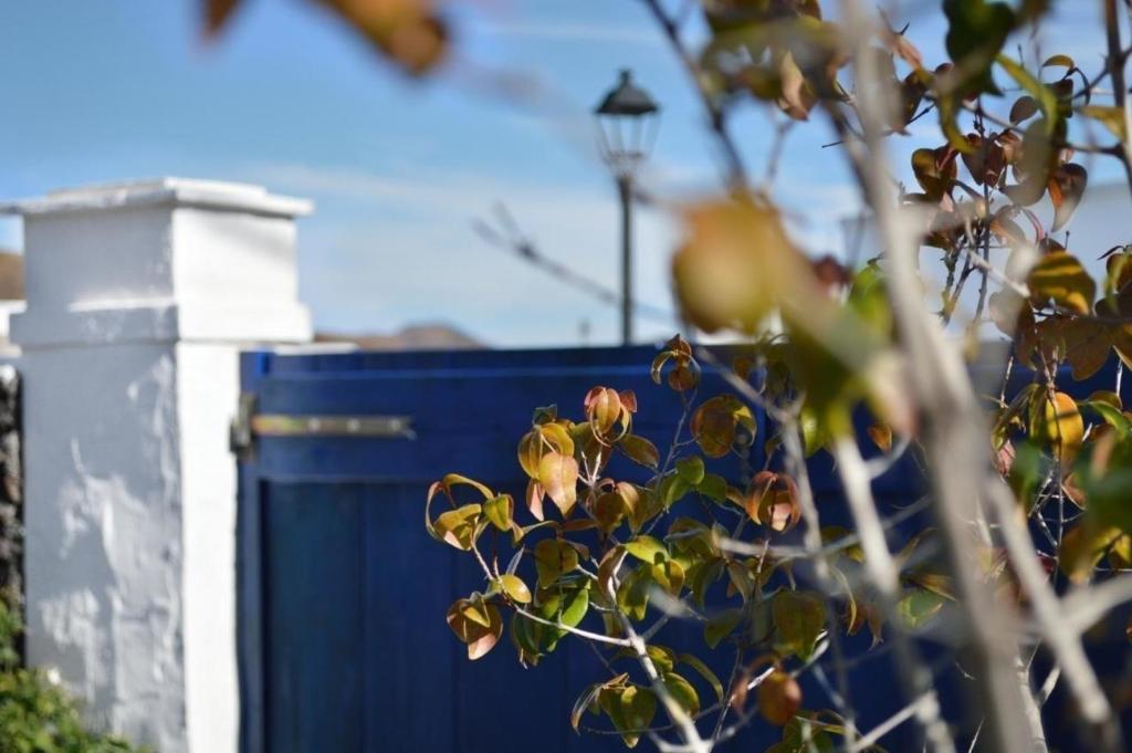 Fotografia z galérie ubytovania Lavastein Bauernhaus Yazmina Mit Schönem Garten v destinácii Yaiza