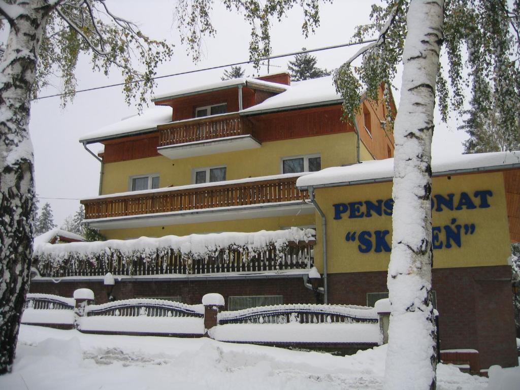 カルパチにあるWilla Skaleńの雪中の建物