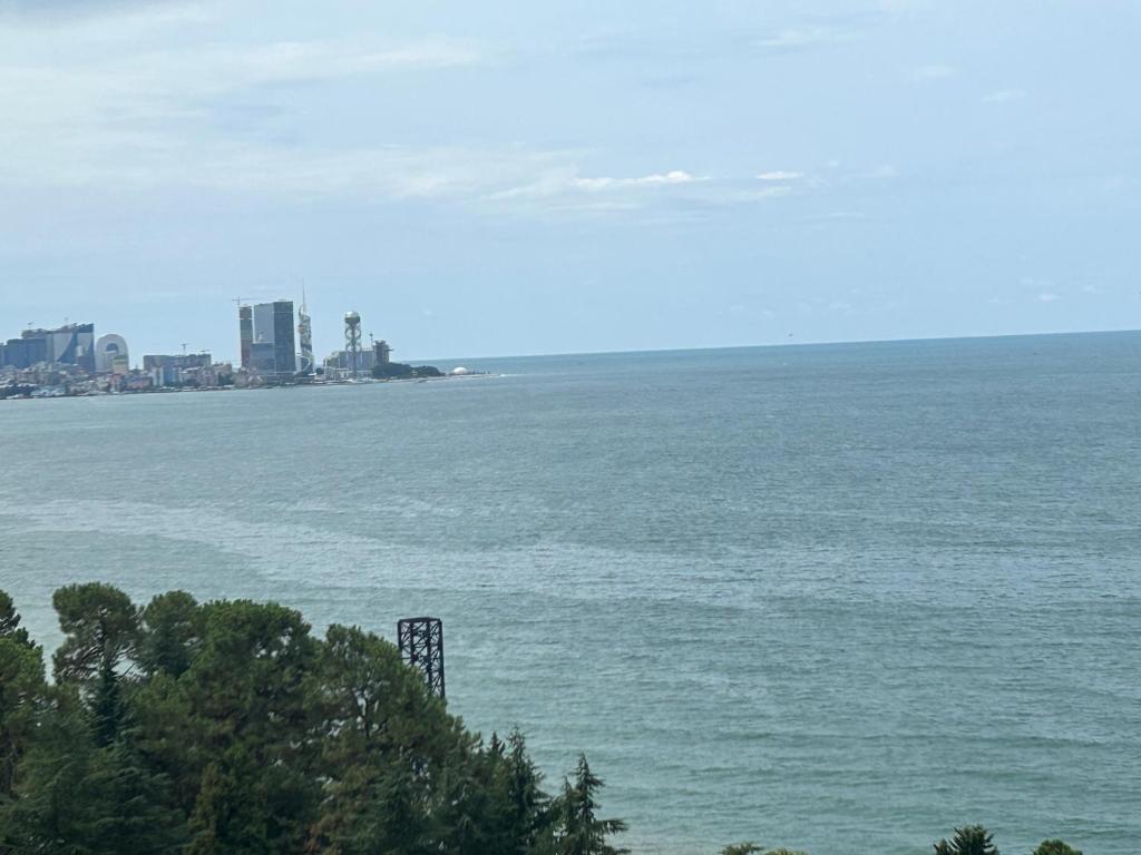 a view of a large body of water at Студия на двоих с потрясающим видом на море in Batumi