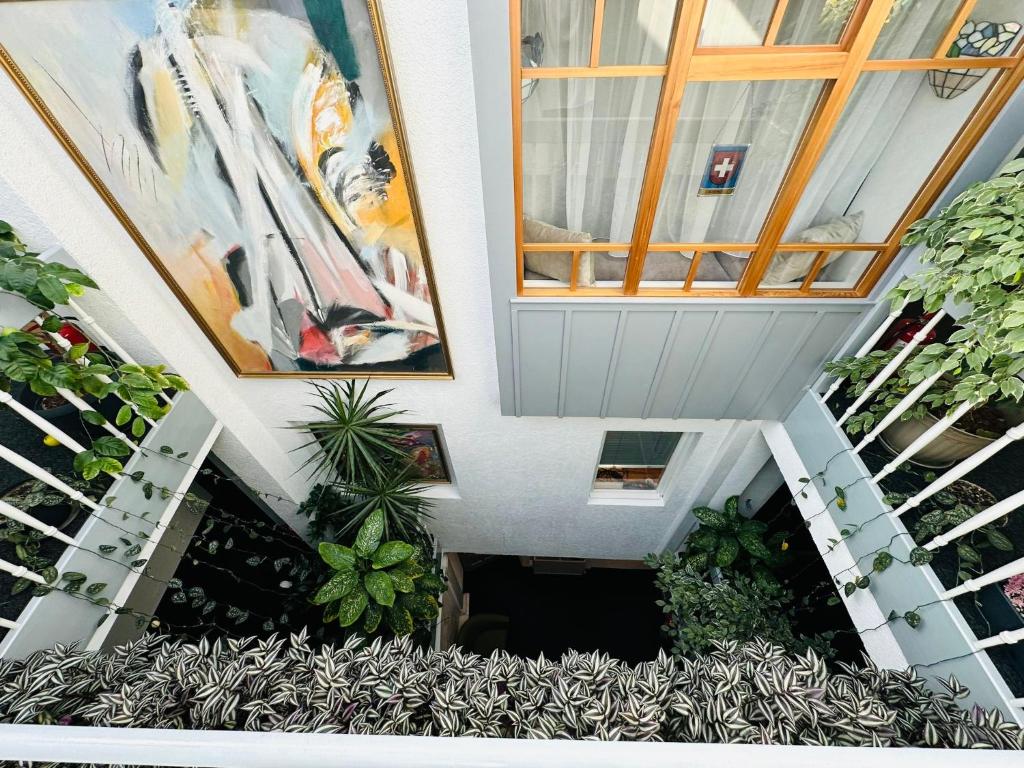 Villa Helvetia - Housity