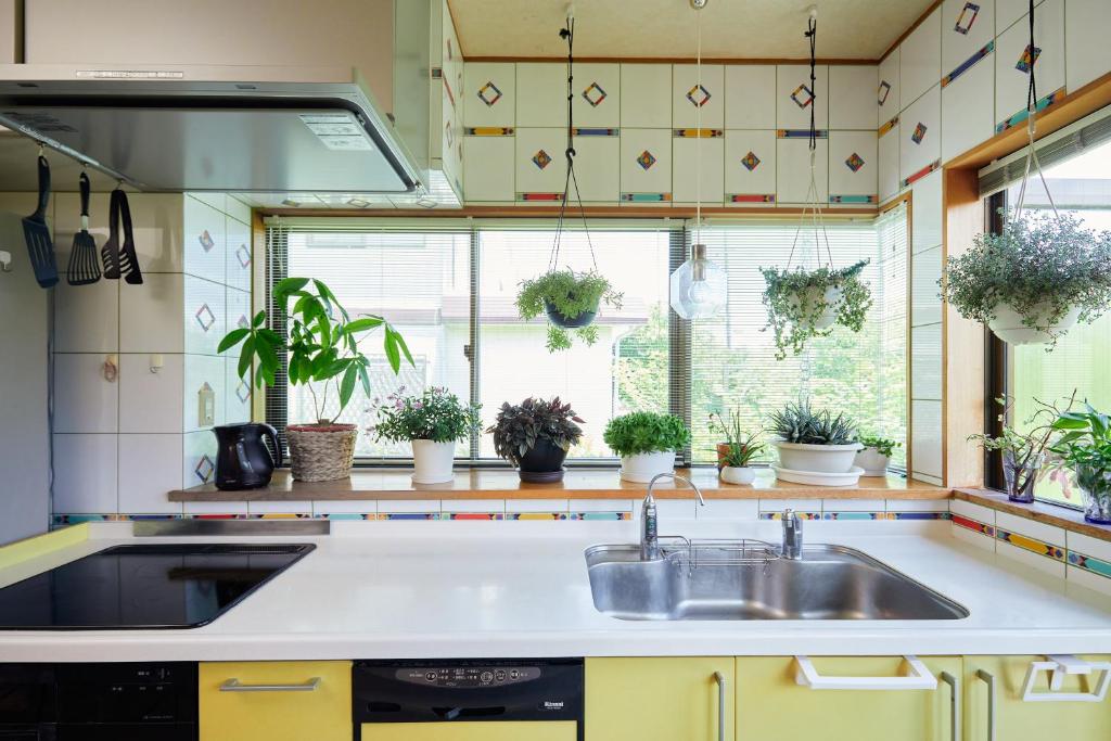 Kuchyň nebo kuchyňský kout v ubytování Malama Monstera 6名 BBQ ペット可 ビーチ ゴルフ 芝生の庭 観葉植物 リラックス