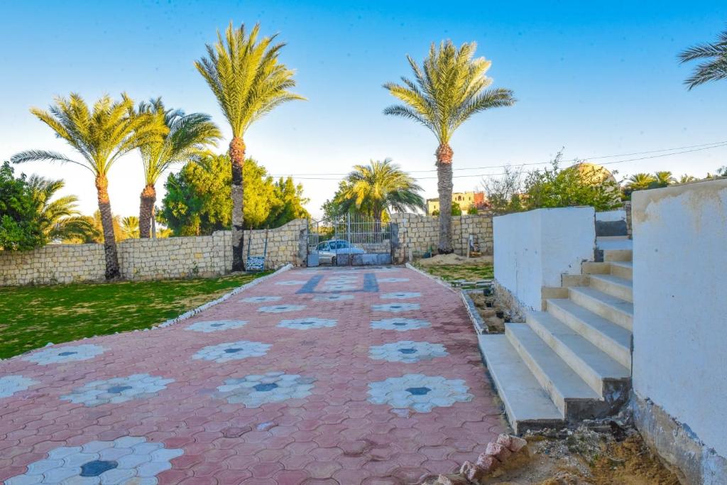 Fotografie z fotogalerie ubytování Sun house v destinaci Tunis
