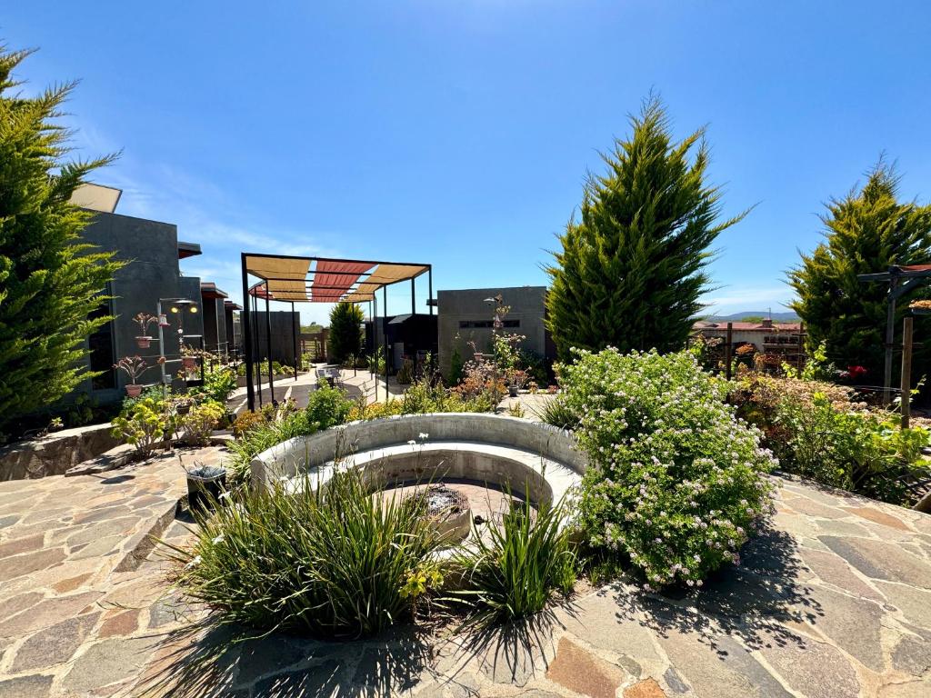 Zahrada ubytování Entre Vides Valle de Guadalupe