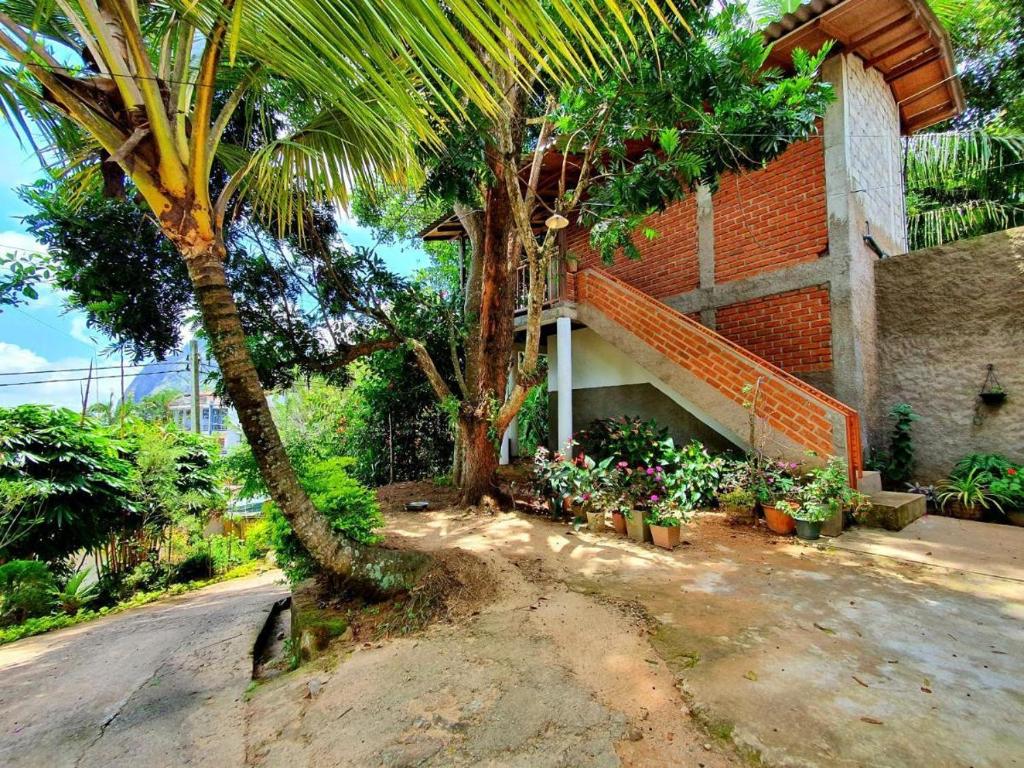 Zahrada ubytování Sunbeam Homestay