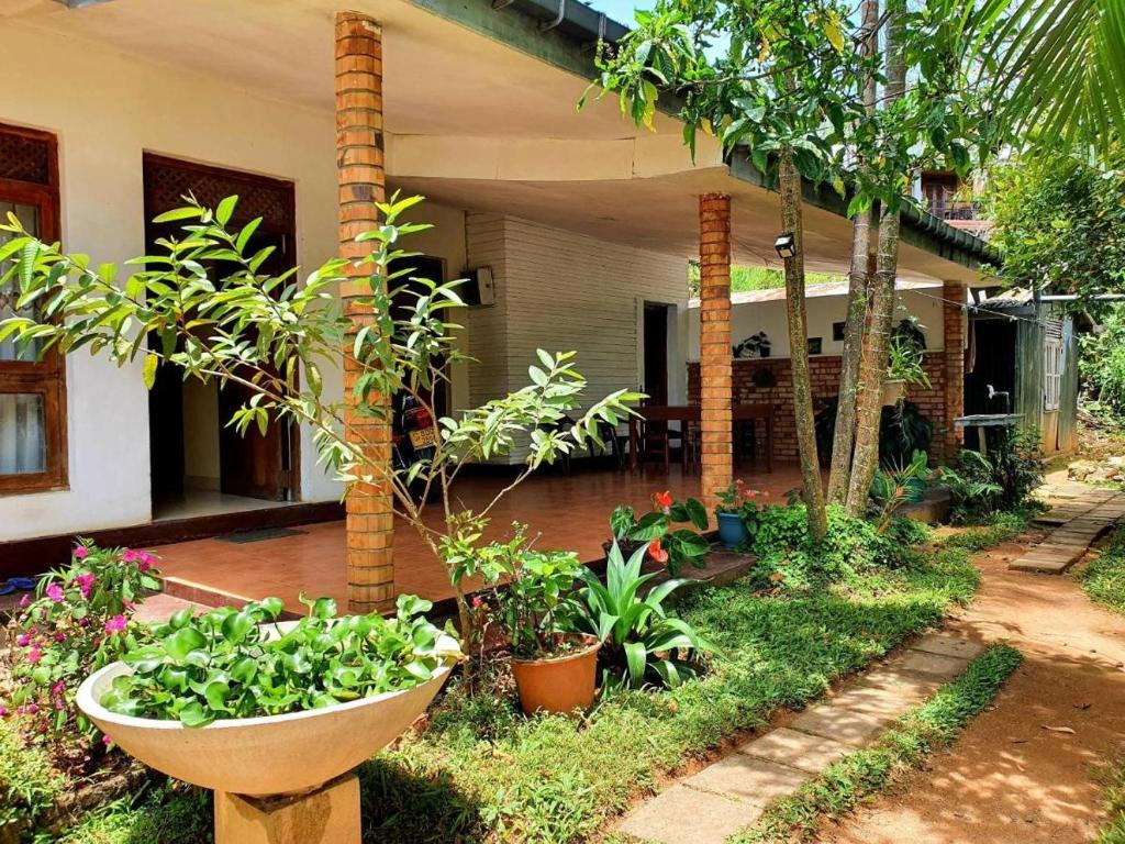 Zahrada ubytování Sunbeam Homestay